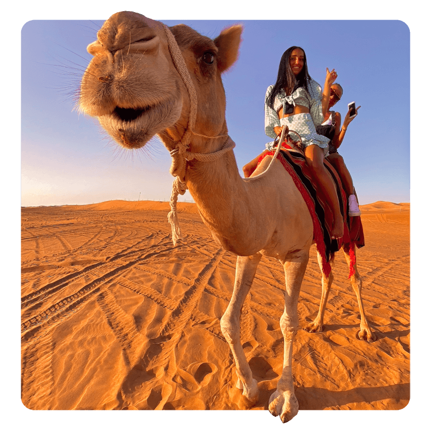 Combo Desert Adventure